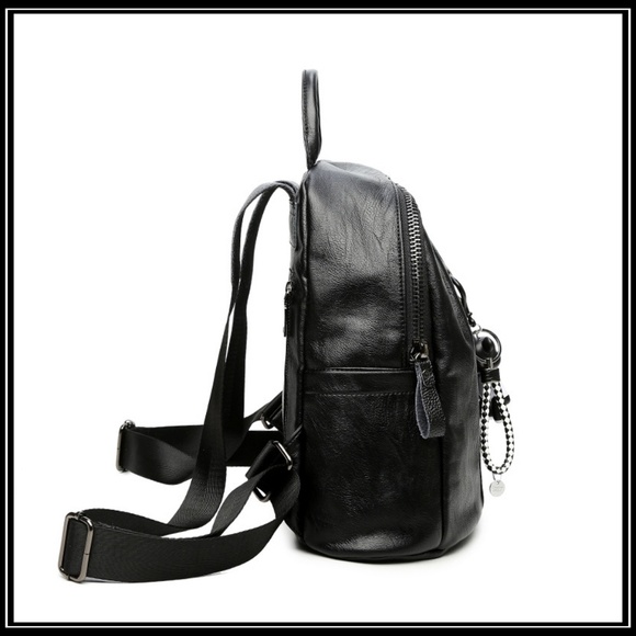 NEW PHOENIX Backpack - Picture 6 of 8